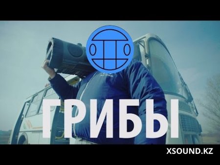 Грибы - Тает Лёд