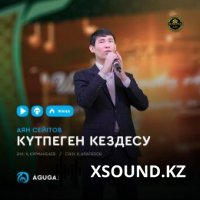 Аян Сейітов - Күтпеген кездесу