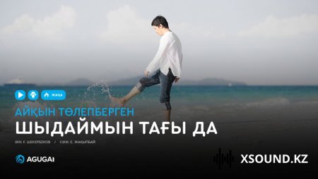 Айқын Төлепберген – Шыдаймын тағы да