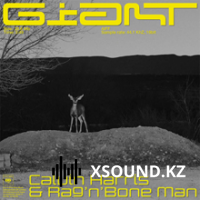 Calvin Harris & Rag'n'Bone Man - Giant