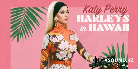 katy perry - harleys in hawaii