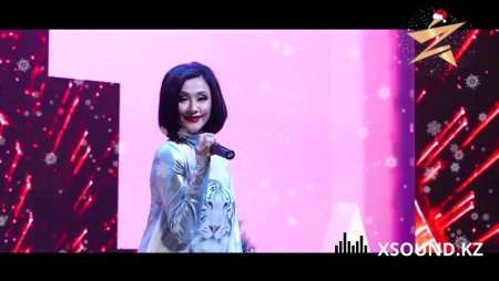 Меруерт Түсіпбаева - Сұрауы бар