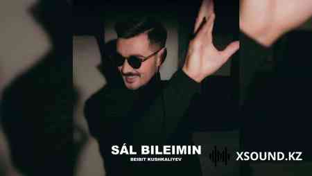 Бейбіт Кушкалиев - Сәл билеймін