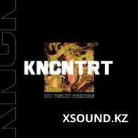 Vs. $ X V PRiNCE - End Ne Stimz