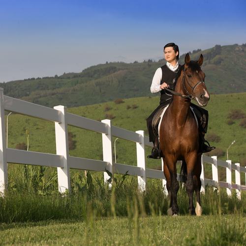 Төреғали Төреәлі - Боз Жорға  (2017)