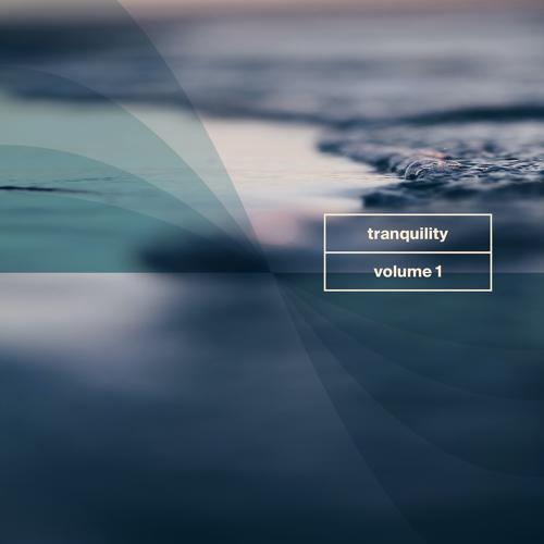 Earth Ensemble - Looped Sleep Fire and Raim  (2020)