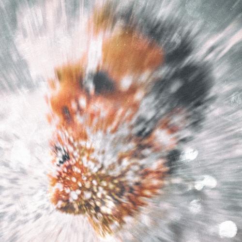 bludkidd, Скриптонит - Тремор  (2021)