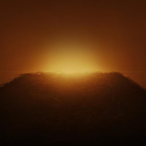 Swedish House Mafia, Ty Dolla $ign, 070 Shake - Lifetime  (2021)