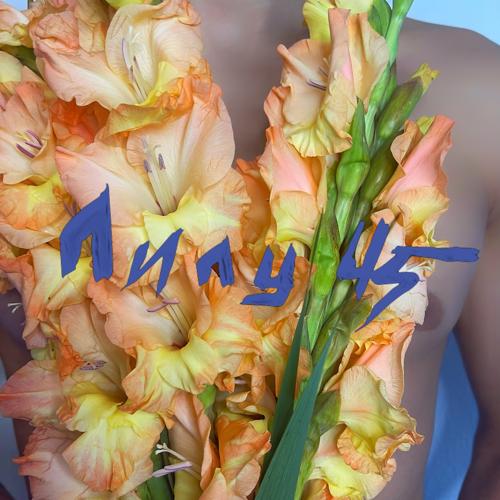 Лилу45 - Гладиолусы  (2021)