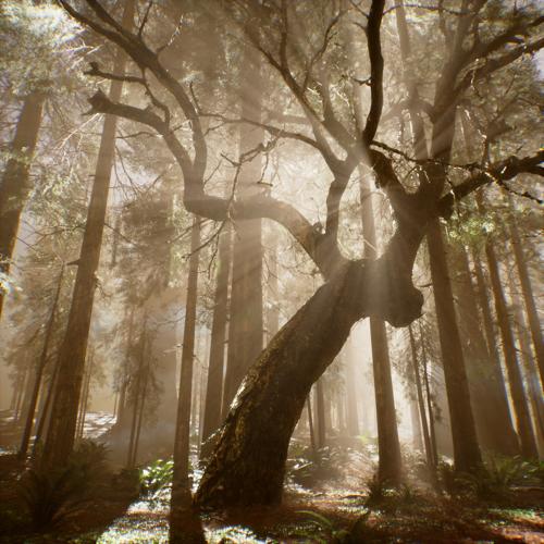 THRILL PILL, Тима Белорусских - Дерево  (2021)