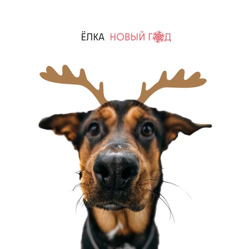 Ёлка - Новый год  (2021)