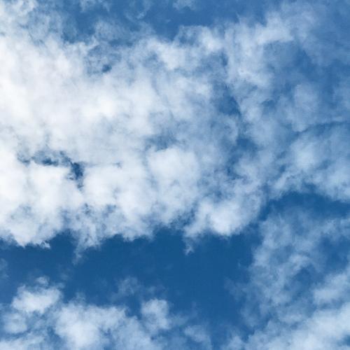 Женя Ефимова - Ясно  (2021)